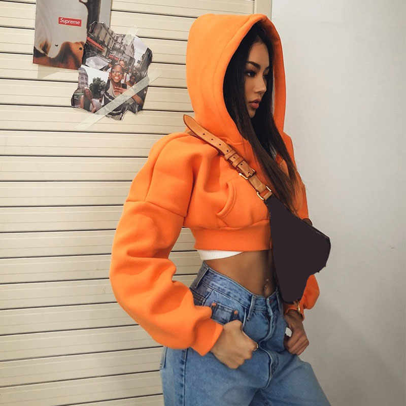 Cropped Zip Up Hoodies Women S - огляд і ціна Vintage Zip Hoodie