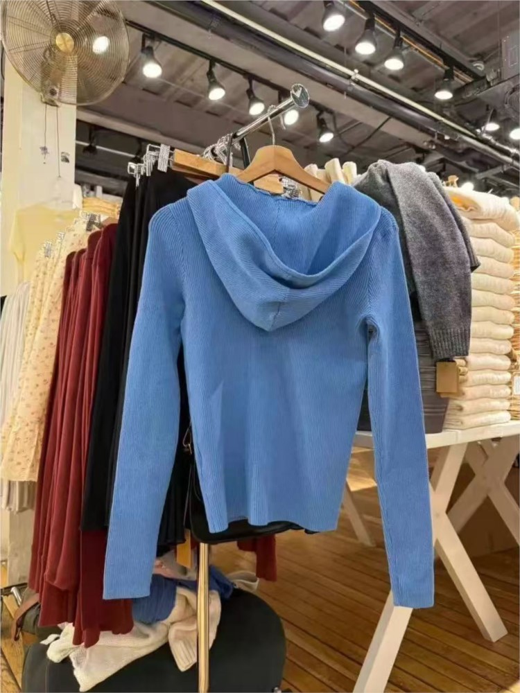 Blue Knitted Hoodies Tops Wome - огляд і ціна Vintage Zip Hoodie